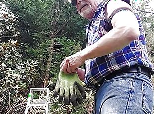 Taking down tree limbs and branches 