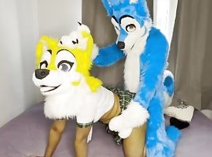 Furry couple plays rough!