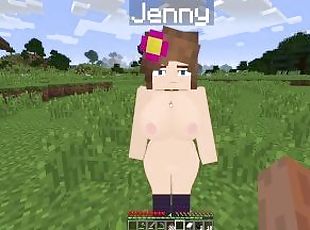 Minecraft Adult porn 04 -  Fuck Jenny doggy style