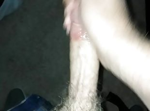 Please This Penis