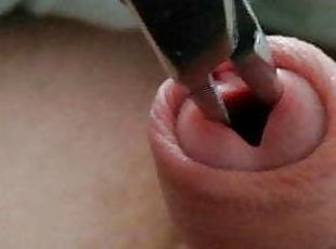 Play in my open hole urethr!!!!   Insertion in my urethra!