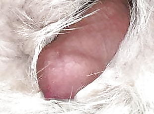 Coyote fur pelt masturbation, with cum