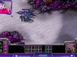 zerg vs protoss domination