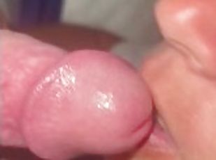 Close up Blowjob Female POV