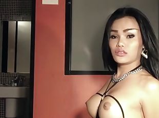 Amateur thai ts darly gives a blowjob