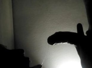 Silhouette Blowjob & Cumshot