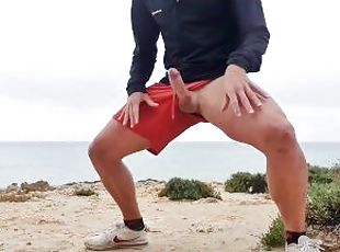 Masturbating My Big Cock at a Public Beach - Almost Busted!